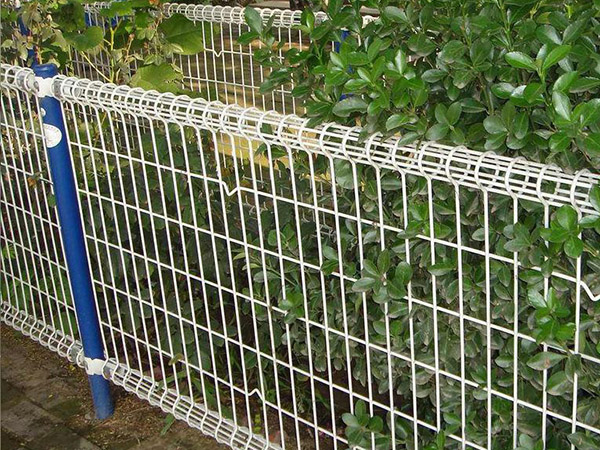 雙圈護欄網(wǎng)圖片3